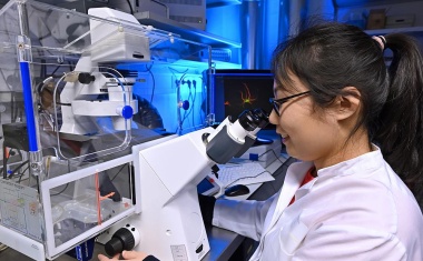 Netzwerk-Regeneration nach Schlaganfall