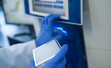 RNA-Therapie gegen Herzinsuffizienz und Organfibrosen