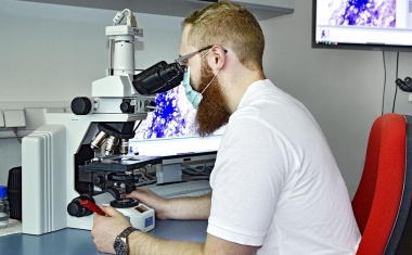 Wie künstliche Intelligenz in der Krebsmedizin unterstützen soll