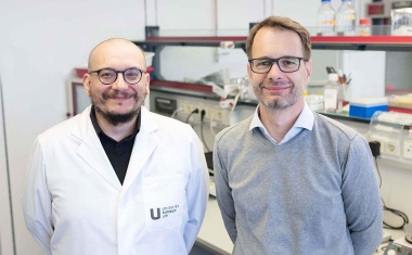 Neuer Behandlungsansatz für chronische Atemwegserkrankungen