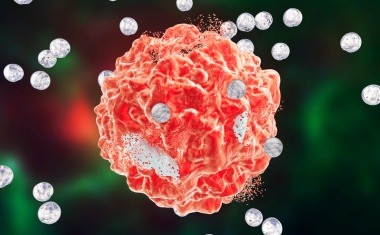 Tumore im Labor ausdrucken