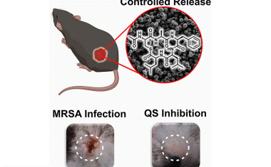 Neue Werkzeuge gegen Krankenhausinfektionen?
