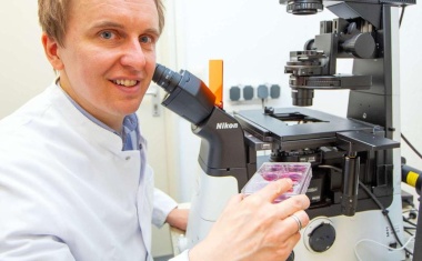 Leberfibrose: Der fatale Signalweg