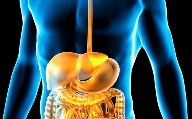 Alzheimer-Signatur in menschlicher Darmflora gefunden