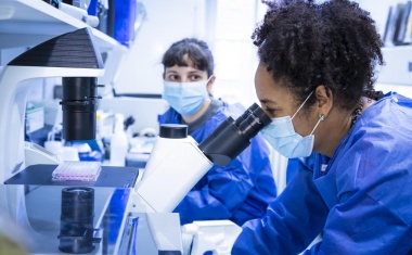 Infektionsforschung im UKE wird mit zwei Millionen Euro durch das BMBF gefördert