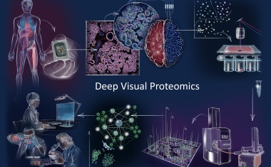 Neue Methode revolutioniert Krebsdiagnose