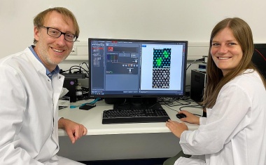 Veränderungen im Zellskelett der Thrombozyten beeinflussen Blutstillung