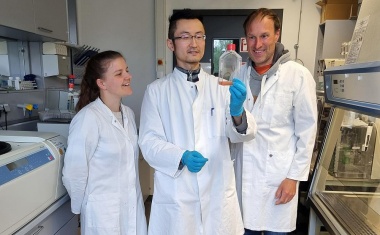 Forschende entdecken körpereigene, entzündungshemmende Substanz