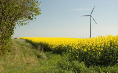 Verantwortung für Klimaschutz: Berliner Krankenhäuser wollen „fit für morgen“ werden