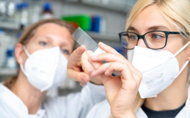 Universitätsmedizin Halle weist Erfolg von Krebsimmuntherapie bei fortgeschrittenem Magenkarzinom nach