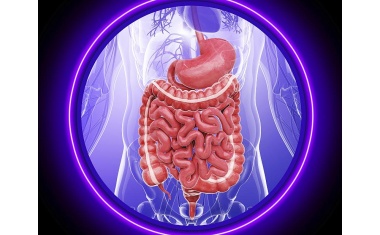 Morbus Crohn: Erschöpfte Zellen bieten Ansatz für neue Diagnostik