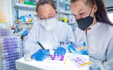 Corona-Forschende suchen nach neuen Angriffspunkten