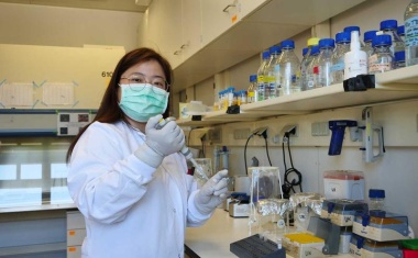 Unbekannte Wirkungen von Citraconsäure