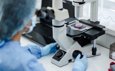 Tumorerkrankungen: Entzündungsreaktion im Blut ist der treibende Faktor