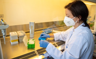 Postoperative Veränderungen des Darmmikrobioms