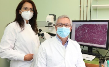 BMBF fördert Konsortium Ferroopath