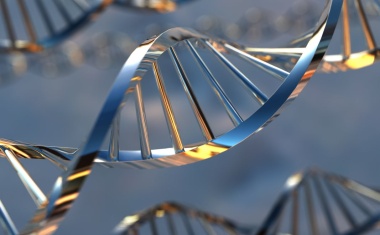 Herstellung von RNA-Chips deutlich vereinfacht