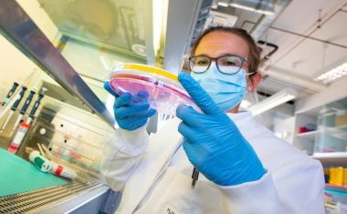 Zielgenau gegen Herzerkrankungen