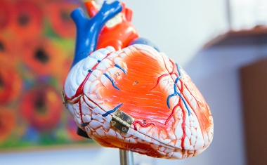 Telemonitoring: Befragung zeigt hohe Zufriedenheit bei Ärzten und Patienten