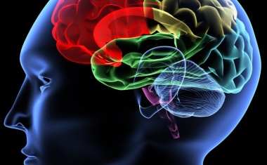 Wie Vitamin B12 die Alzheimer-Erkrankung beeinflusst