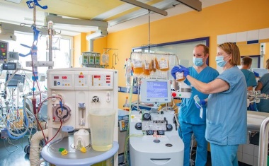 Septischer Schock: MHH-Team erforscht neue Behandlungsstrategie