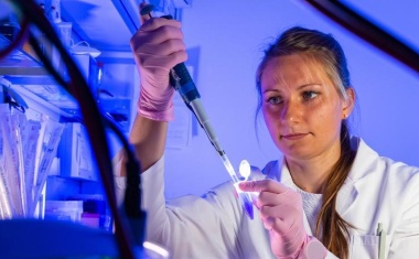 Enzyminhibitor verlangsamt Tumorwachstum