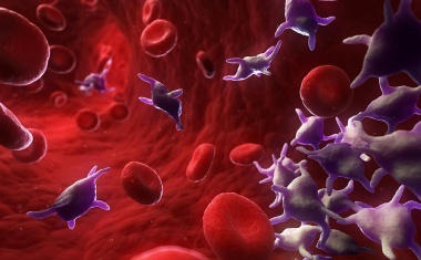 Biomarker aus dem Blut zur Alzheimer-Diagnose