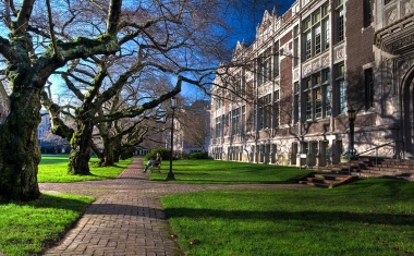 ESG im Immobilienmarkt