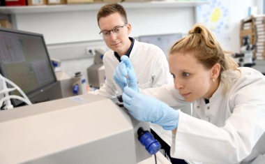 Zellatmung als Marker für Qualität von Spenderlebern