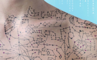 Wie Gene und kleine Moleküle das persönliche Krankheitsrisiko beeinflussen