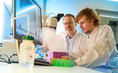 Neue Funktion der CRISPR-Genschere entdeckt