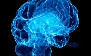 Studie zu neuartigem Epilepsie-Hirnschrittmacher