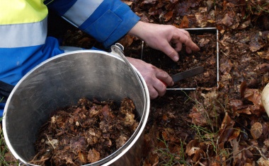 Desinfektionsmittel in hessischen Böden