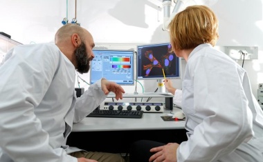 Forschungsgruppe „RNA im Fokus“ erhält Millionenförderung der DFG