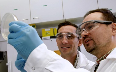 Forschende aus Würzburg und den USA entdecken neue Art der CRISPR-Genschere