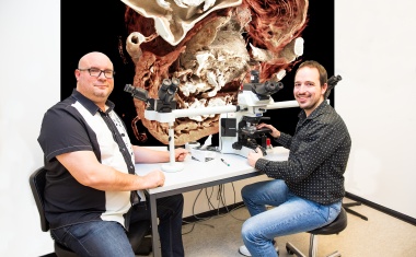 Wie COVID-19 das Herz dauerhaft schädigt