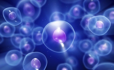 Krankheitsverläufe und Zellprozesse analysieren: in vivo und nicht-invasiv