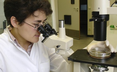 Else Kröner Medical Scientist Kolleg in Mainz verstärkt translationale RNA-Forschung