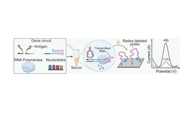Grippe-Test mit synthetischen Genen