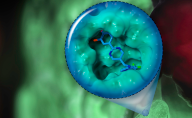 Pathogene entschärfen: Neue Wirkstoffkandidaten zur Bekämpfung chronischer Infektionen