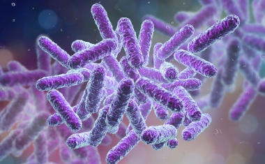 Natürliches Pflanzengift als neues Breitband-Antibiotikum