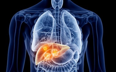 Einsatz der Künstlichen Intelligenz zur Verbesserung der Diagnostik beim Leberkrebs