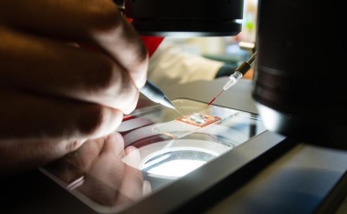 HIPS und CISPA machen gemeinsam künftige Wirkstoffe sicherer