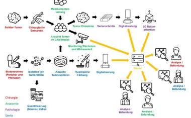 Gemeinschaftsprojekt im Kampf gegen Krebs