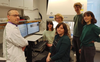 Tc17-Immunzellen fördern Pankreaskrebs