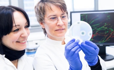 Medikament aus Krebs-Chemotherapie hilft, tödliche Pilzinfektionen zu bekämpfen