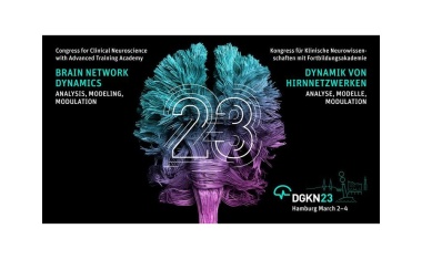 Neue Erkenntnisse zur Dynamik neuronaler Netze