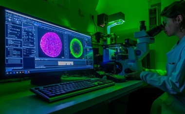 Dietmar Hopp Stiftung fördert Erforschung eines neuen Therapiekonzepts bei wiederkehrenden Hirntumoren