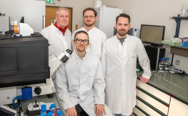 Blockierte Zellwandbildung stoppt bakterielle Zellteilung