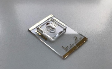 Nanobiosensor zum Nachweis von SARS-CoV-2 entwickelt